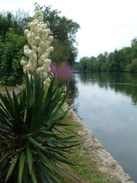 La Fontaine Des Arts Bed & Breakfast Mansle-les-Fontaines Exterior photo